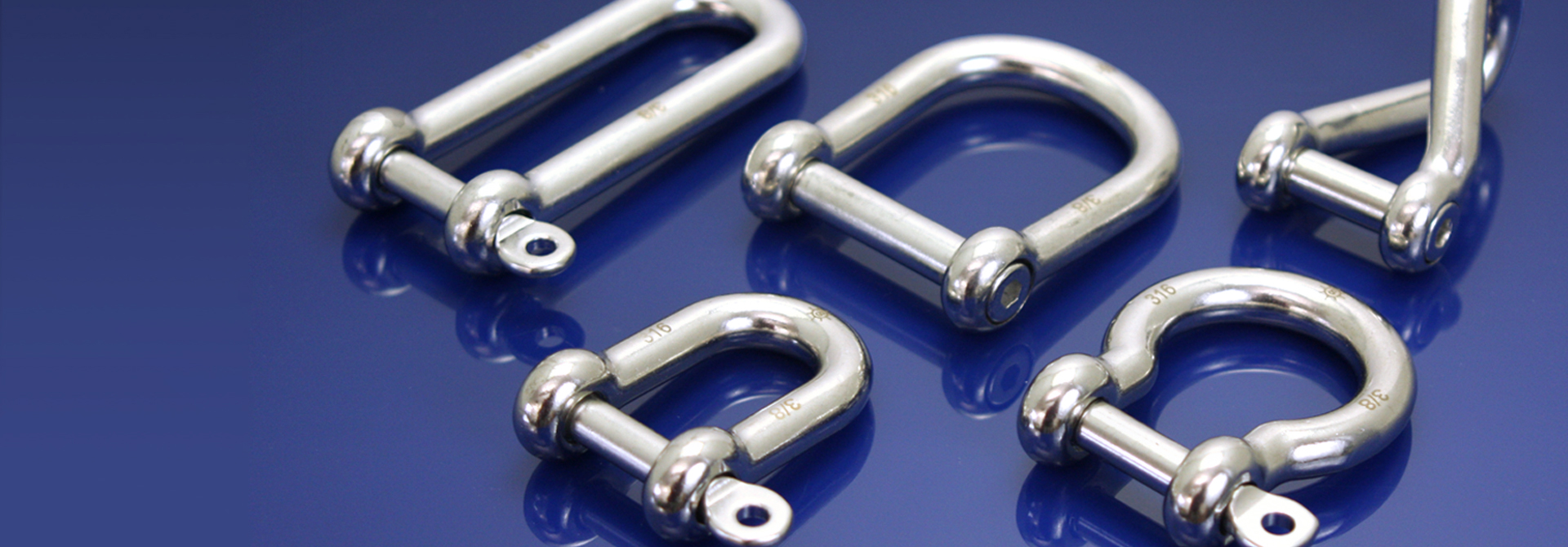 Stainless Steel Shackles